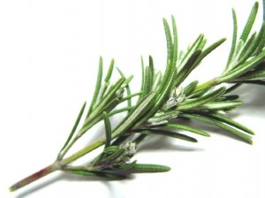 Rosemary Tea For Hair Growth